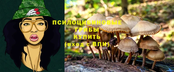 каннабис Арсеньев
