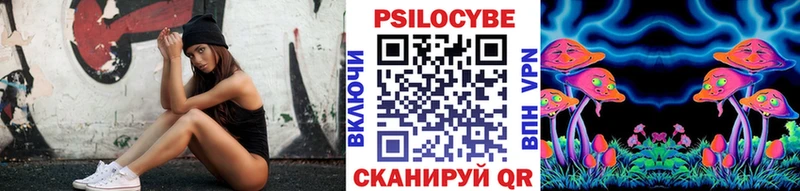Псилоцибиновые грибы мицелий  Купить закладки  Грайворон 